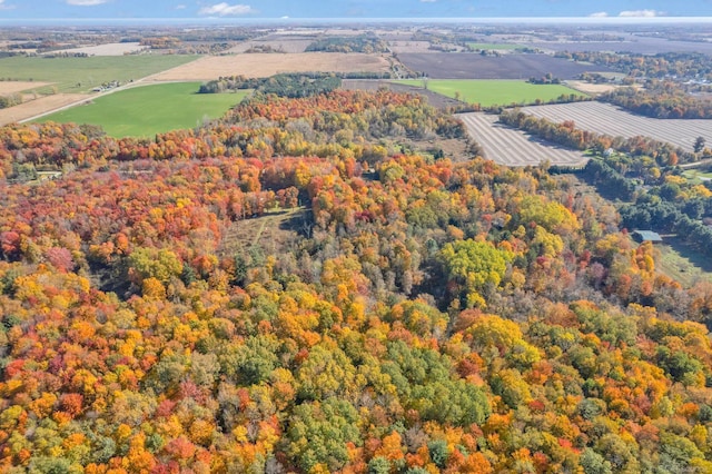 drone / aerial view with a rural view