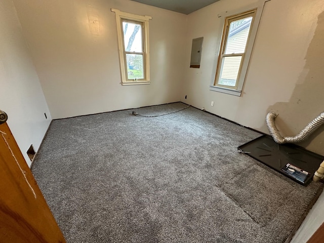 unfurnished room with electric panel, carpet flooring, and plenty of natural light