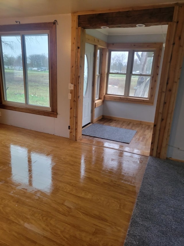 interior space with light hardwood / wood-style floors and a wealth of natural light