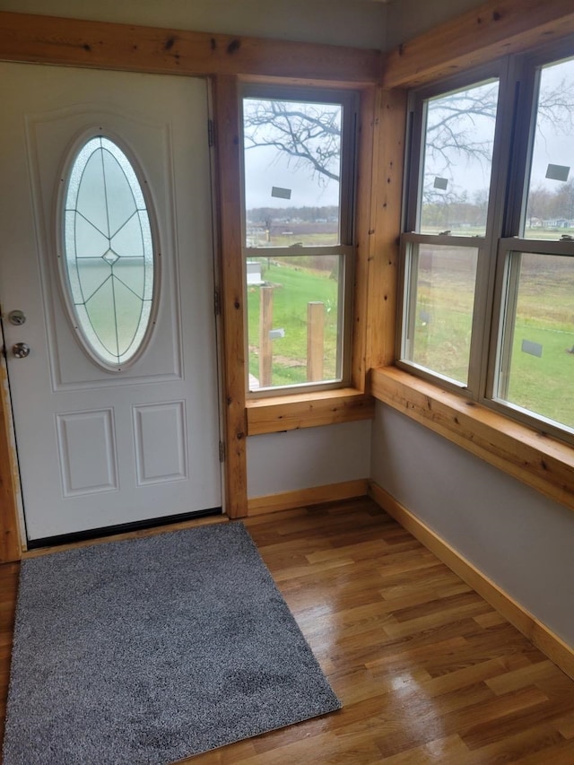 foyer featuring hardwood / wood-style floors and plenty of natural light