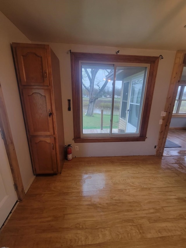 unfurnished dining area with light wood-type flooring and plenty of natural light