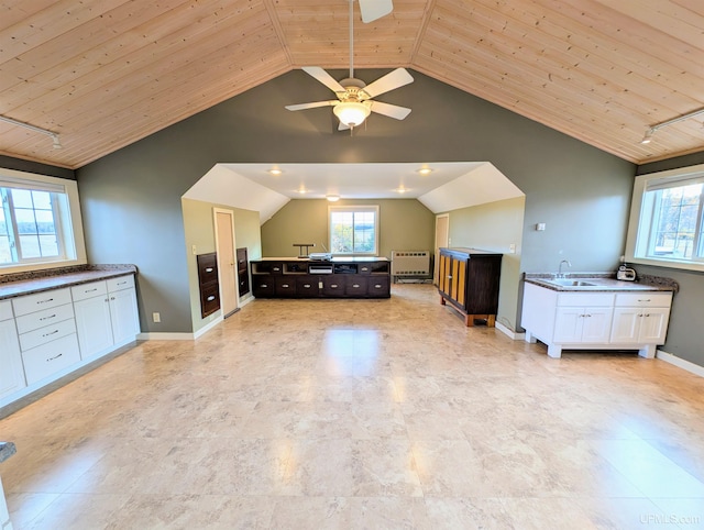 additional living space with wood ceiling, vaulted ceiling, ceiling fan, radiator, and a sink