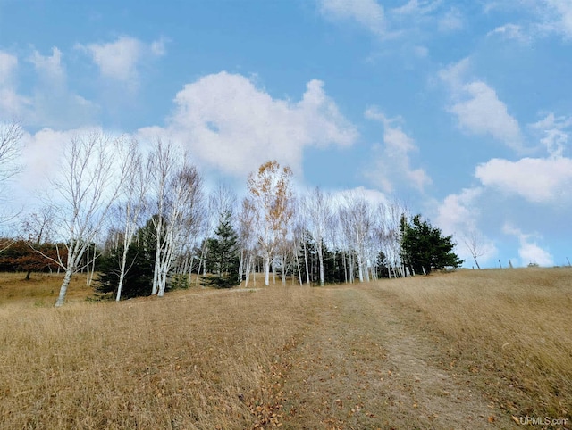 view of nature featuring a rural view