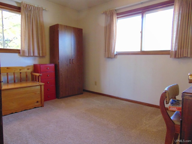 interior space featuring a healthy amount of sunlight and light colored carpet