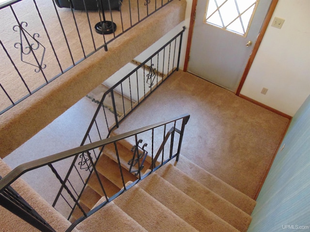 staircase with carpet