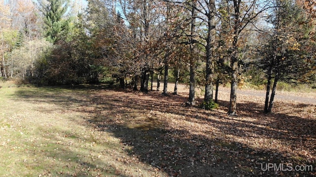 view of local wilderness