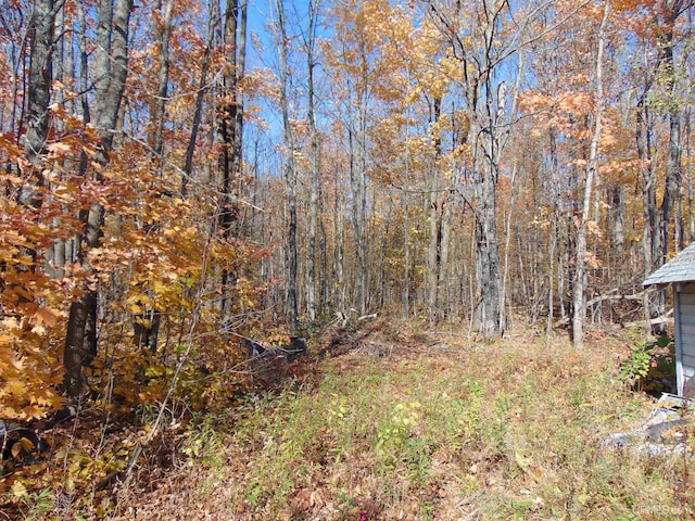 view of local wilderness