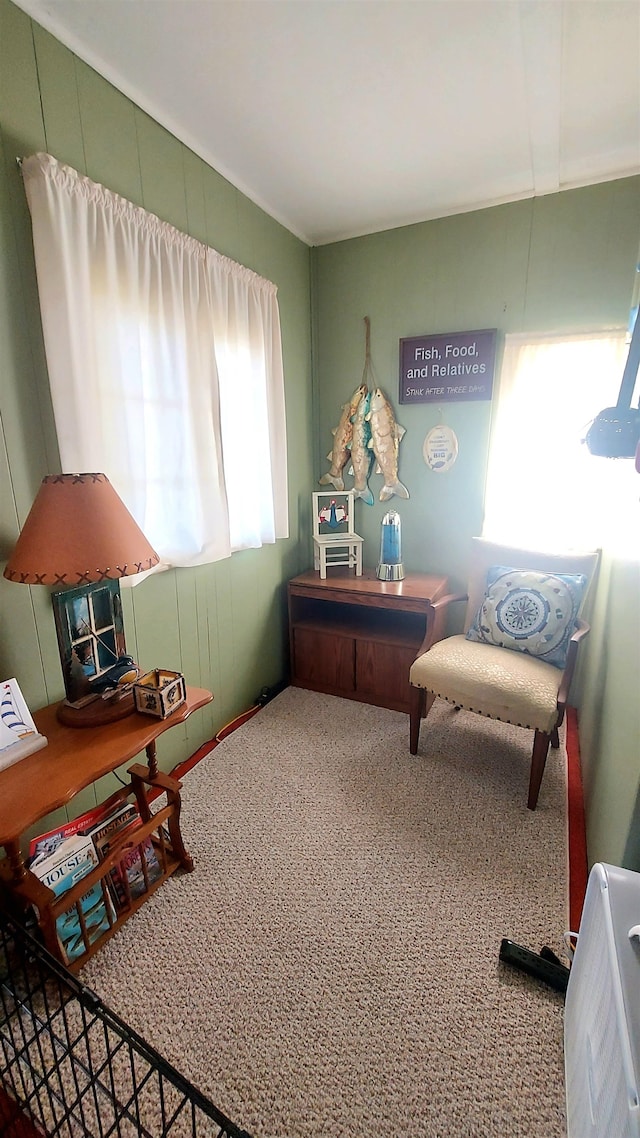 view of carpeted home office