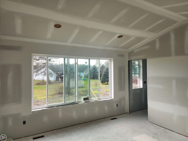 spare room with vaulted ceiling and a wealth of natural light