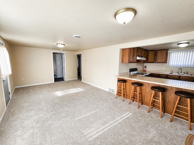 kitchen featuring sink, a kitchen breakfast bar, kitchen peninsula, and gas range gas stove