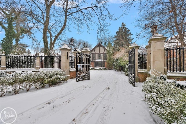 view of yard covered in snow