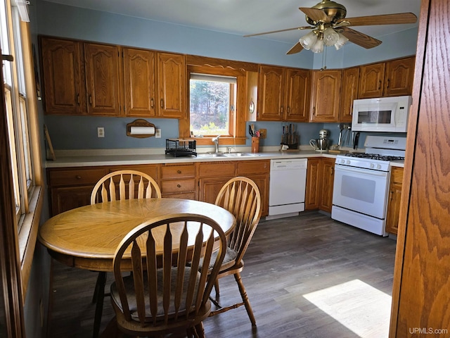 kitchen featuring hardwood / wood-style floors, sink, white appliances, and ceiling fan