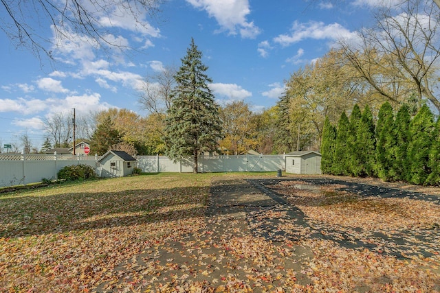 view of yard featuring a storage unit