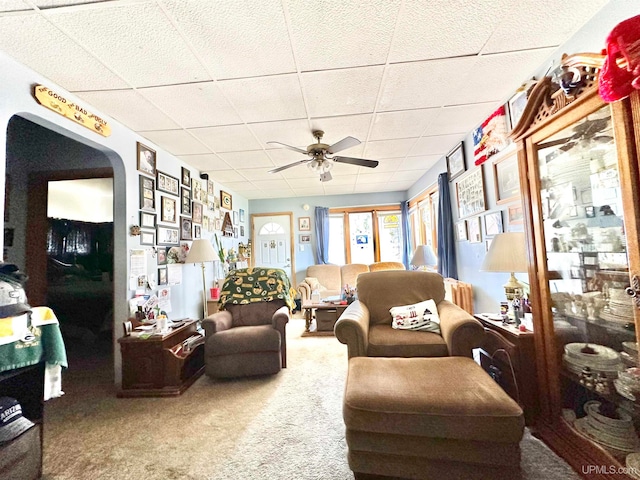 carpeted living room with ceiling fan and a drop ceiling