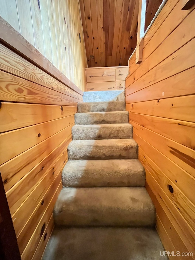 stairs with wood ceiling and wood walls