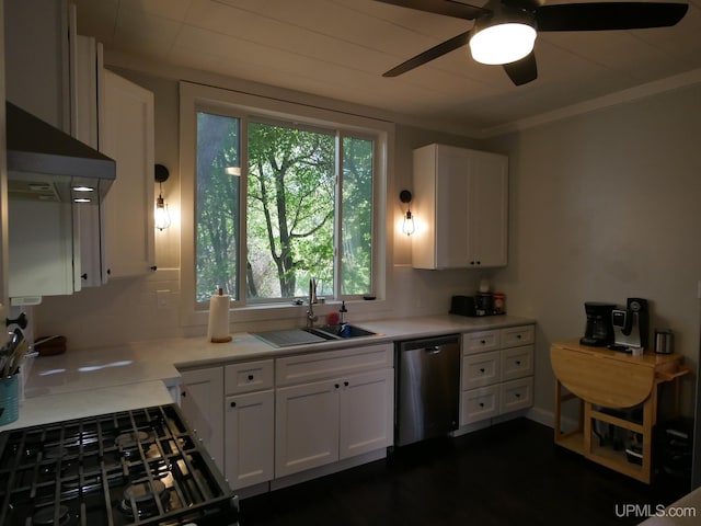 kitchen with white cabinetry, sink, stainless steel dishwasher, and ventilation hood