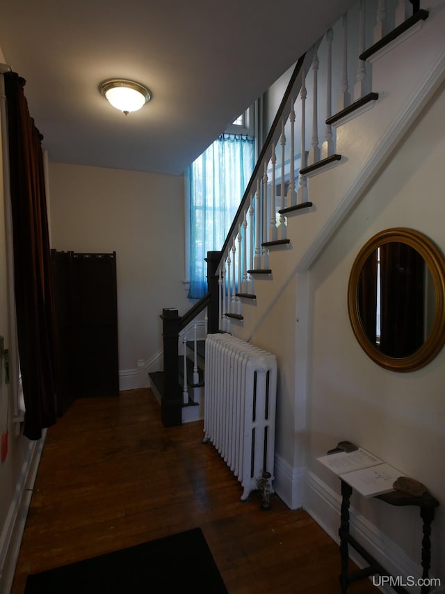 staircase featuring hardwood / wood-style floors and radiator