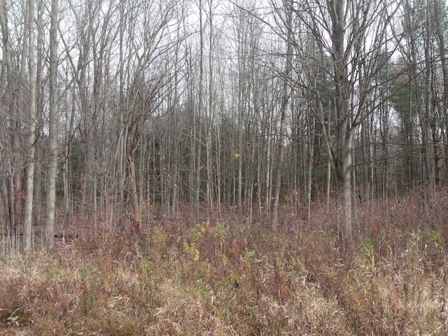 LOT0001 Palms Rd, Casco MI, 48064 land for sale