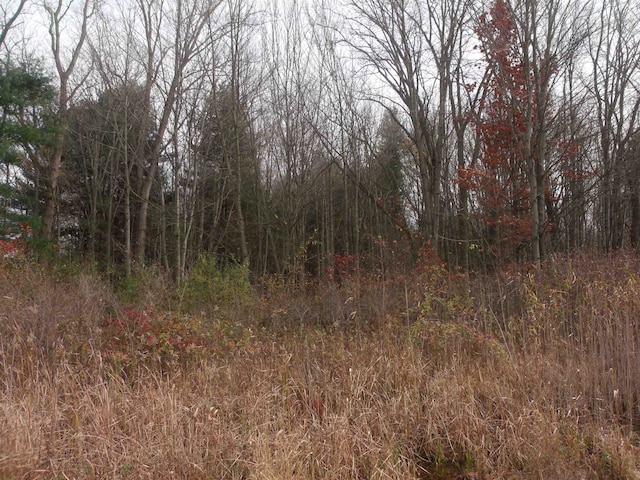 Listing photo 2 for LOT0001 Palms Rd, Casco MI 48064