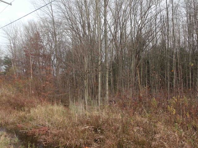 Listing photo 3 for LOT0001 Palms Rd, Casco MI 48064