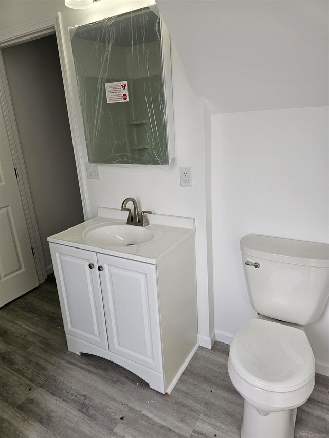 bathroom featuring vanity, wood-type flooring, and toilet