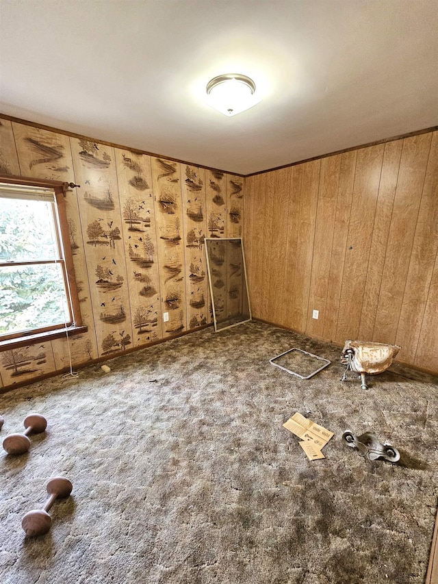 spare room with carpet floors and wooden walls