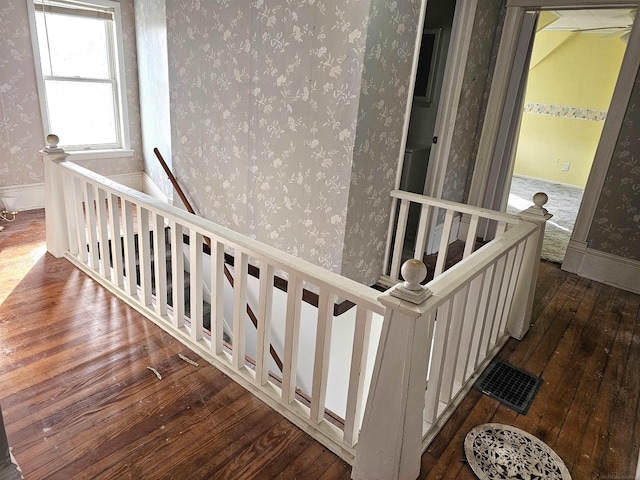 stairs with hardwood / wood-style floors