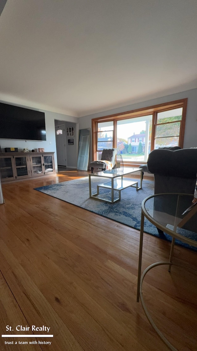 living room featuring hardwood / wood-style flooring