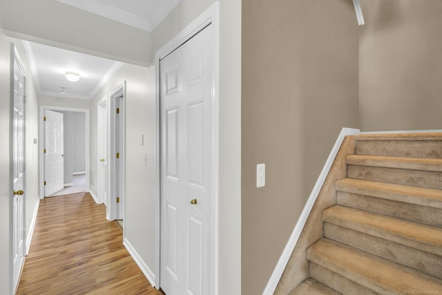 staircase featuring hardwood / wood-style floors and crown molding