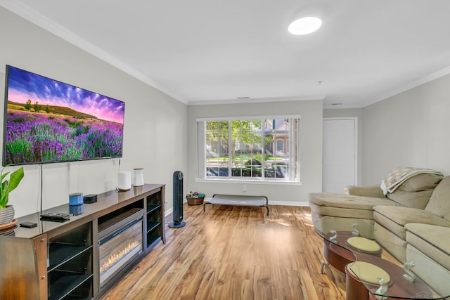 living room with light hardwood / wood-style flooring and ornamental molding