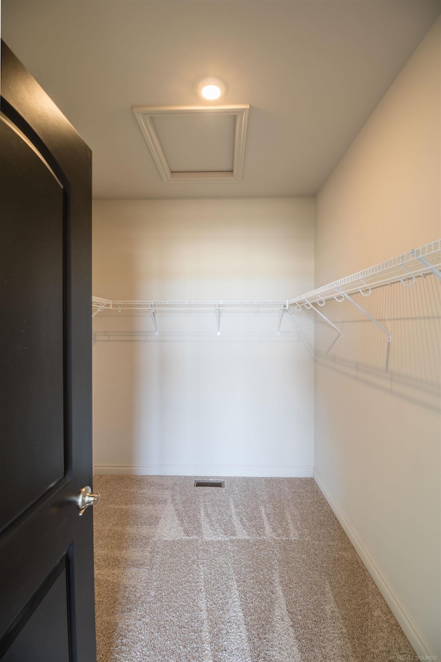 walk in closet featuring carpet