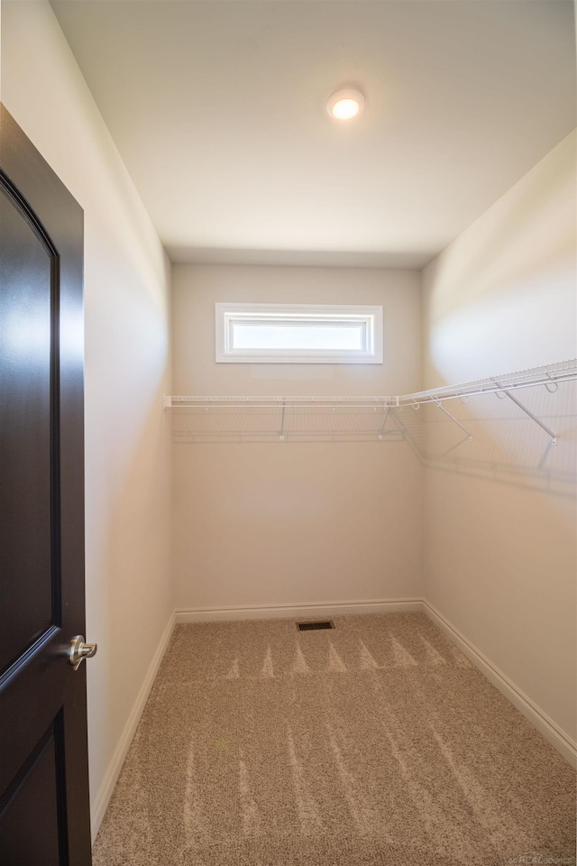 walk in closet featuring carpet