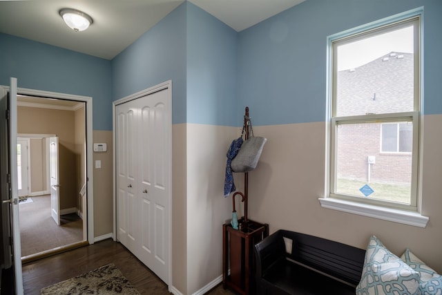 entryway with dark hardwood / wood-style floors and a healthy amount of sunlight