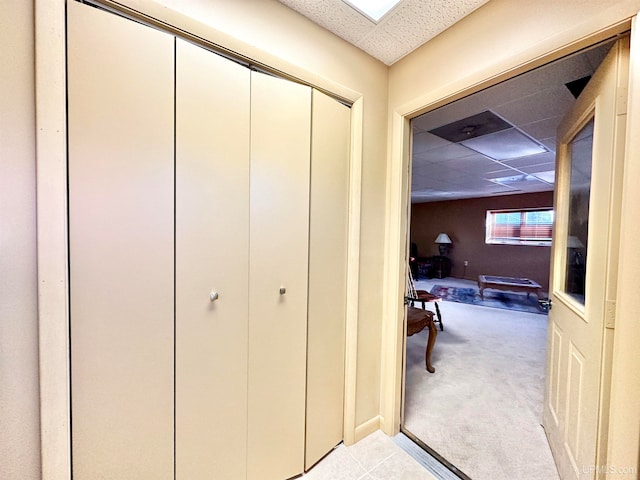 hall featuring a drop ceiling and light colored carpet