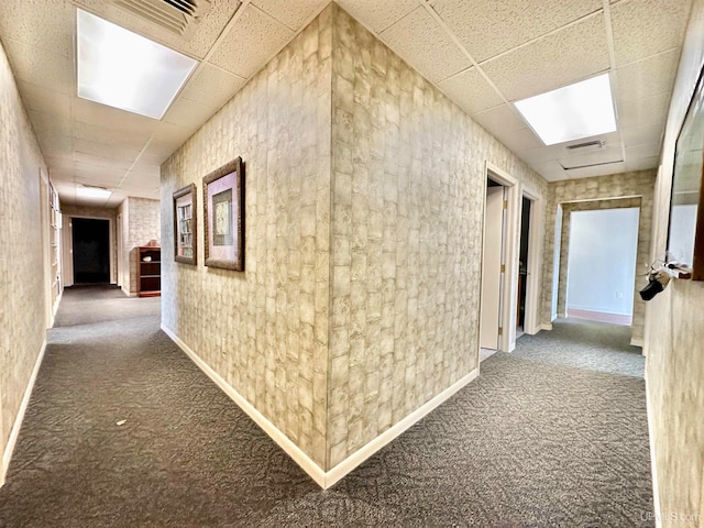 hallway featuring a drop ceiling and carpet flooring