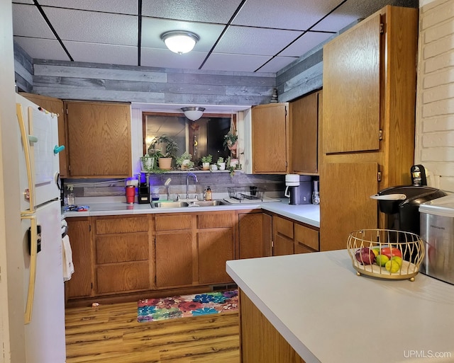 kitchen with light wood-type flooring, a drop ceiling, sink, and white fridge