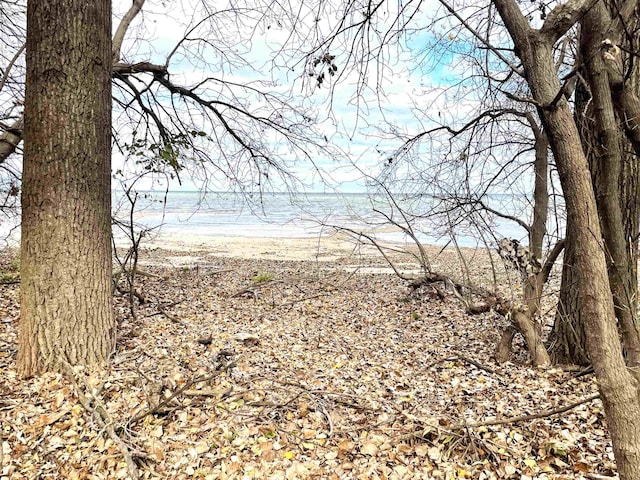 view of landscape with a water view