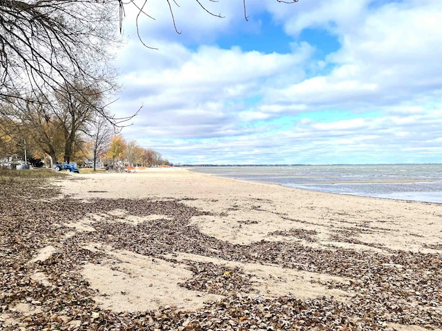 water view featuring a beach view