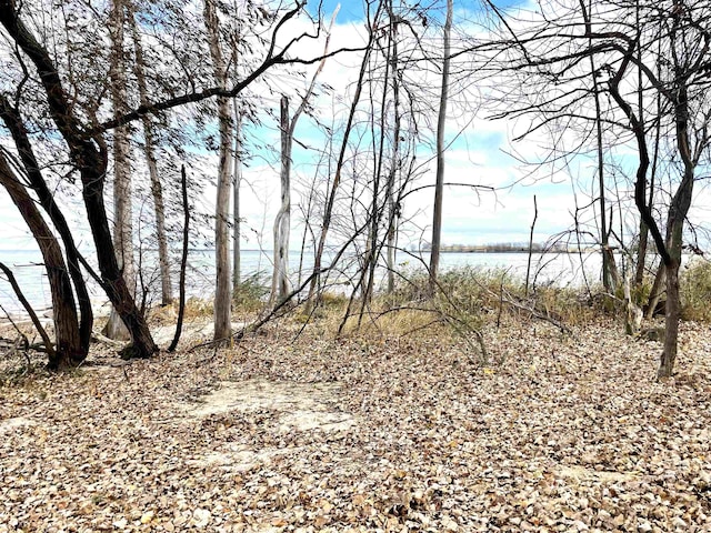 view of landscape featuring a water view