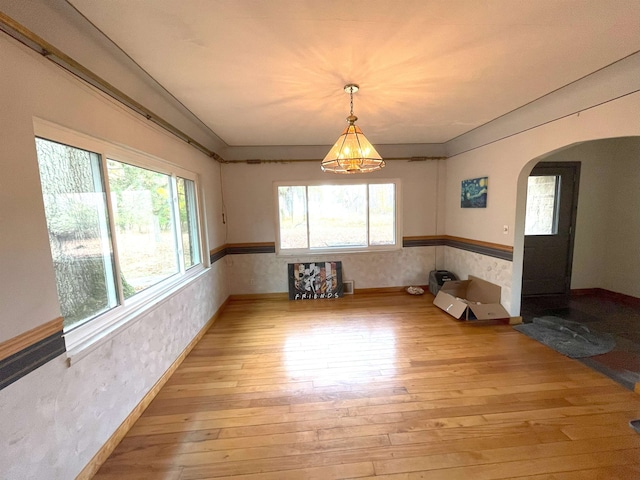 unfurnished dining area featuring a healthy amount of sunlight and light wood-type flooring