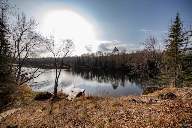 property view of water