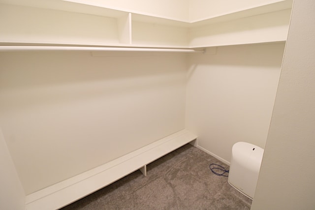 spacious closet with dark colored carpet