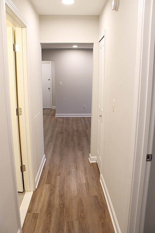 hall featuring dark wood-type flooring