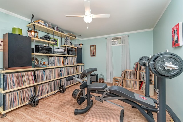 workout room featuring hardwood / wood-style floors, crown molding, and ceiling fan