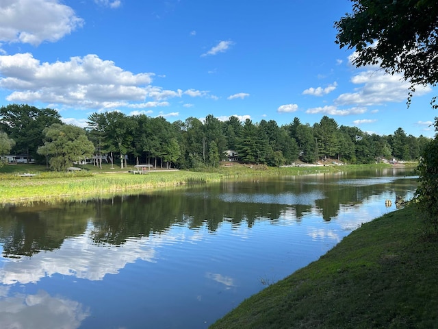 property view of water