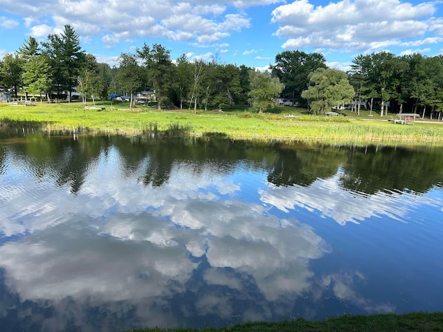 view of water feature