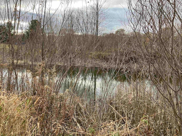 view of water feature