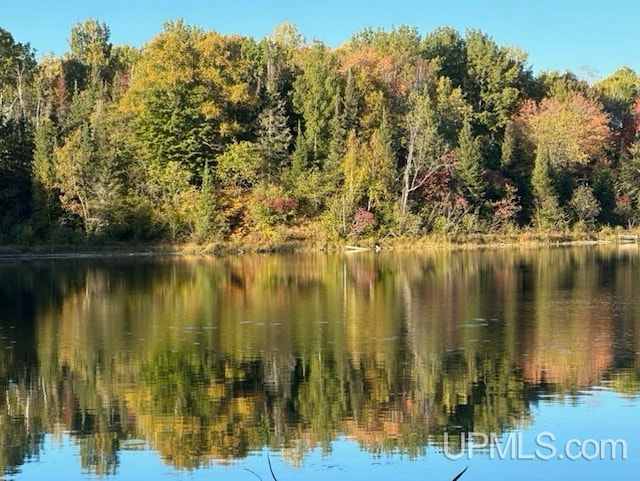 TBD Maggie Lakes Trl, Crystal Falls MI, 49920 land for sale