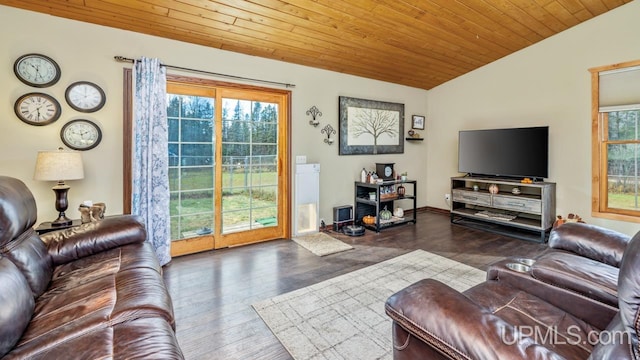 living room with a healthy amount of sunlight, wood-type flooring, lofted ceiling, and wooden ceiling