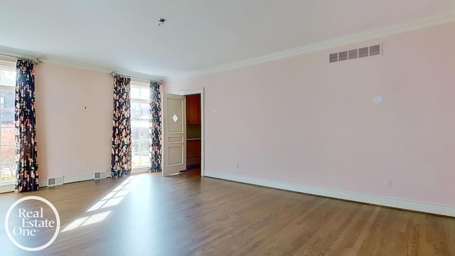 empty room featuring light wood-type flooring and plenty of natural light